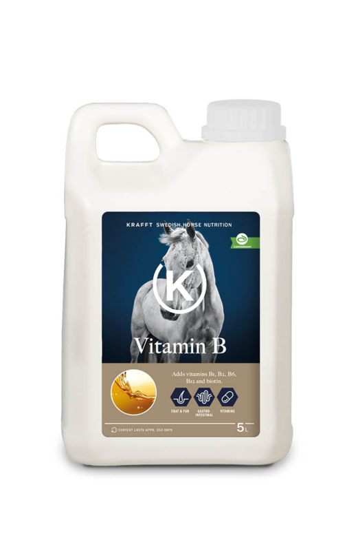 KRAFFT Vitamin B liquid